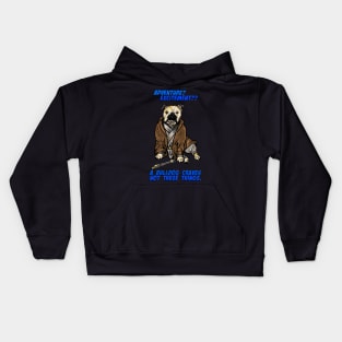 Adventure and Excitement Kids Hoodie